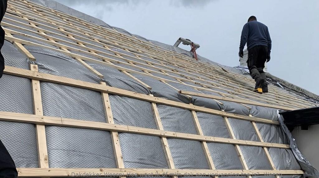 Dak Vervangen Weesp 1