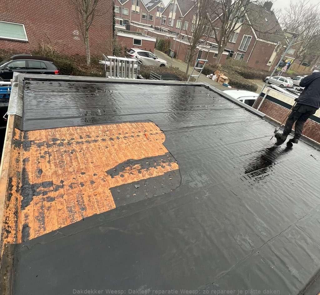 Dakleer Reparatie Weesp