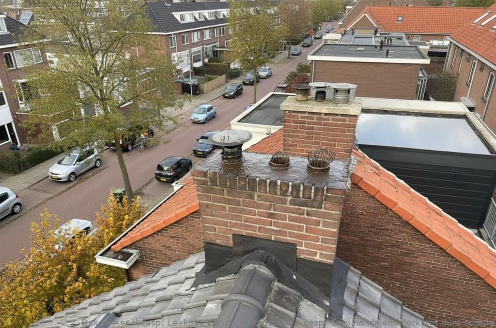 Lekkage Aan De Schoorsteen Weesp