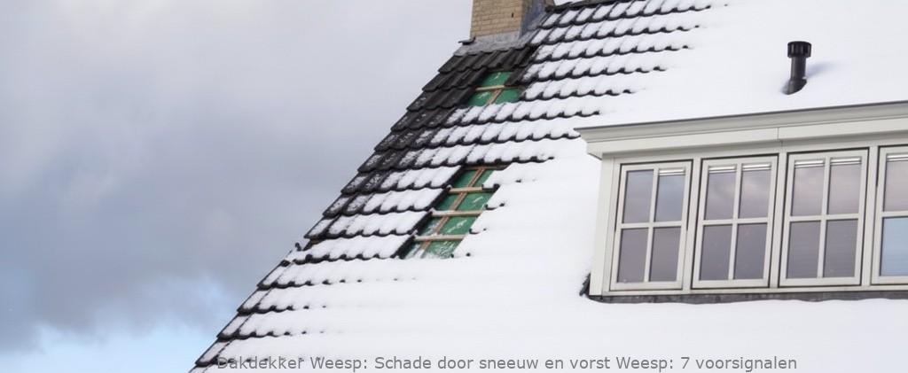 Schade Door Sneeuw En Vorst Weesp