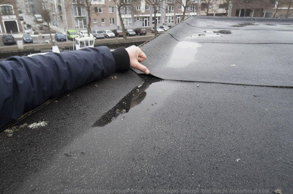 Voorkomen Daklekkages Weesp