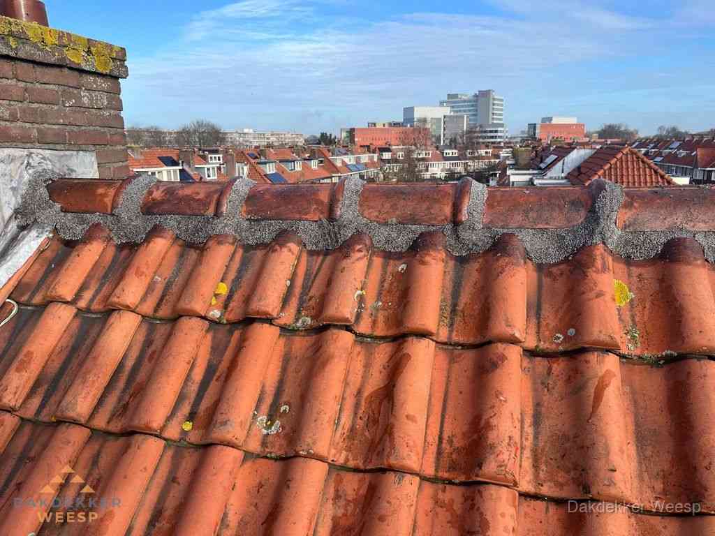 Weesp Daken Renoveren